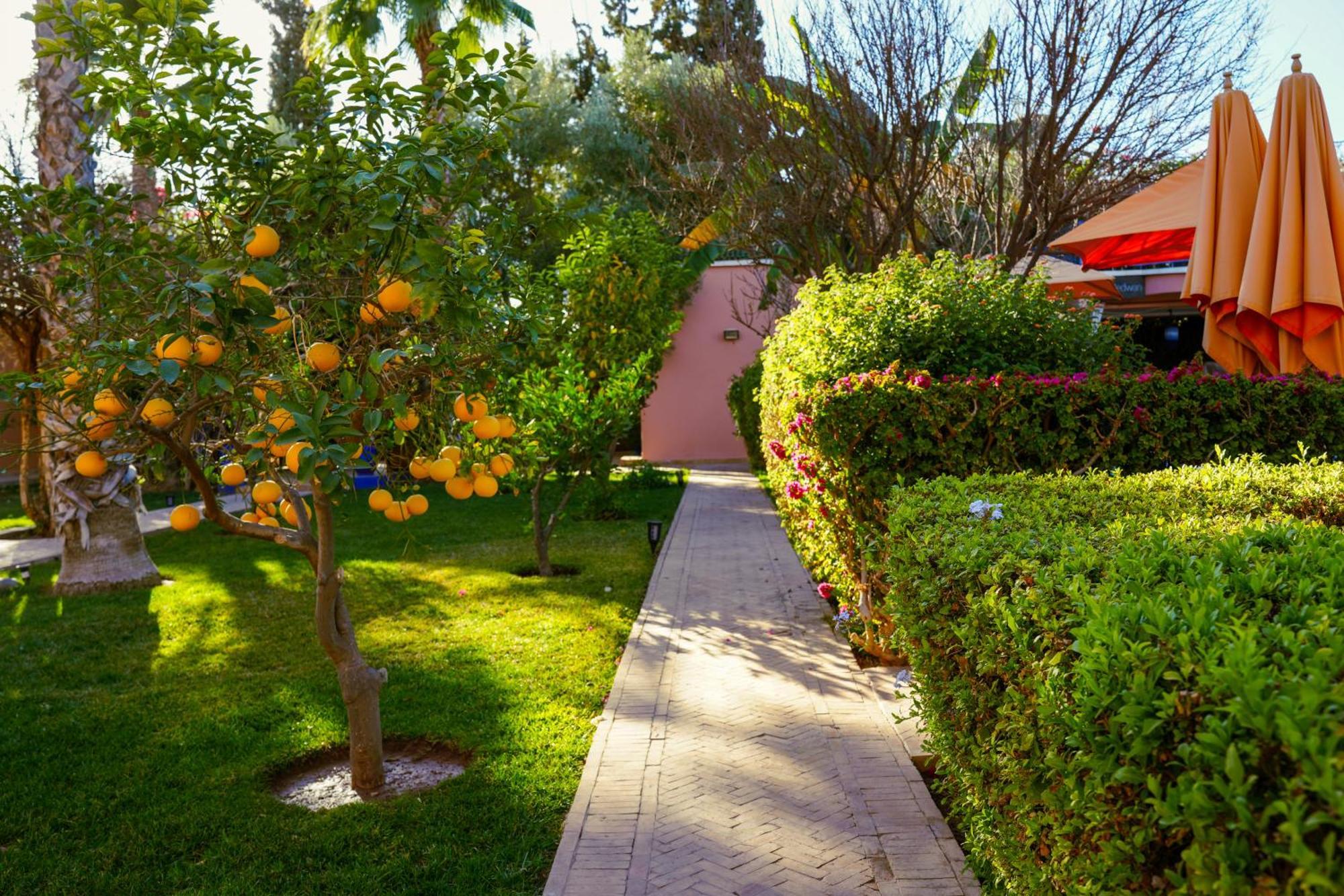 Riad Redwan Douar Caïd Layadi Zewnętrze zdjęcie